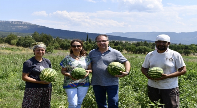 Safranbolu Kaymakamı Türköz’den çiftçilere ziyaret