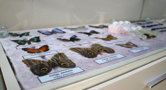 Okul'da açılan müzeyle çocuklara doğa bilinci aşılanıyor