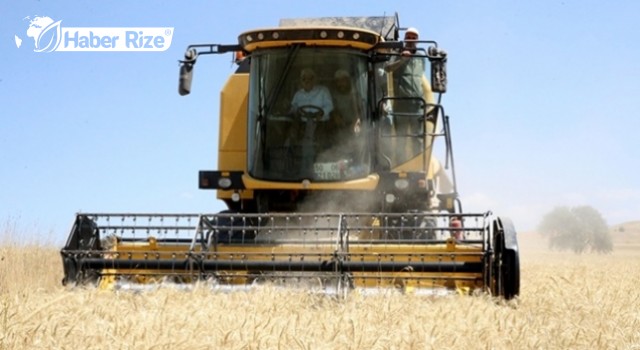 Buğday rekoltesinin arttığı Sivas'ta belediye arazisi TMO'nun kullanımına açıldı