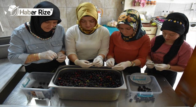 Karadenizli Kadınlar Tescilli Lezzet "Taflan Turşusu"nun Yapımına Başladı