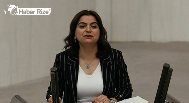 HDP'li Koçyiğit okullarda gıda desteği için Meclis araştırması istedi
