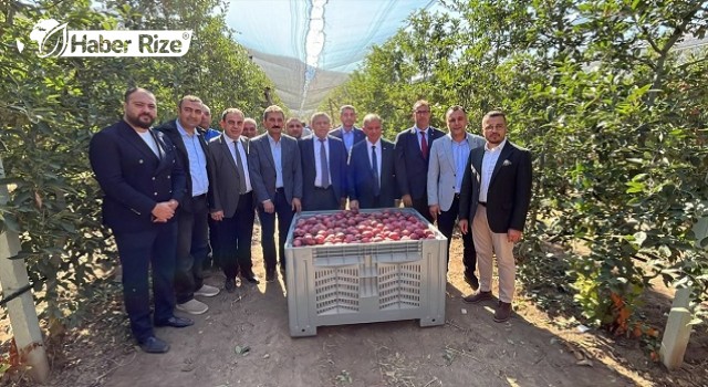 Elmanın ihracat pazarı artırılacak