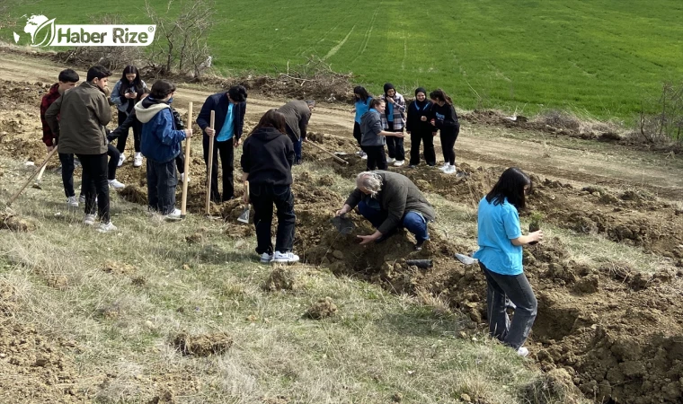 Havza'da Öğrencilerden Anlamlı Katkı: 1000 Karaçam Fidanı Toprakla Buluştu