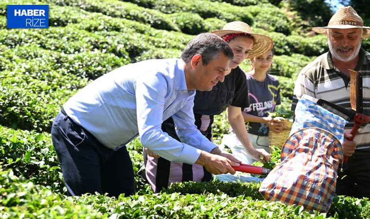 CHP Genel Başkanı Özel, Rize'de çay bahçesine girdi