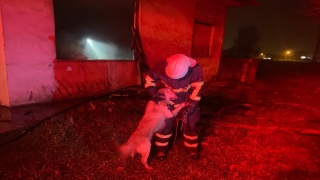 Yangından kurtarılan köpek, sevgi gösterisi