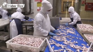Çin pazarına yapılan tavuk ayağı ihracatında hızlı yükseliş
