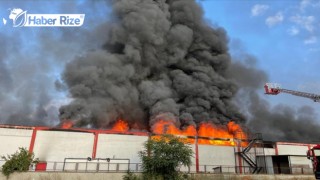 Fabrikada çıkan yangına müdahale
