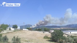Soma'da bir orman yangını daha çıktı