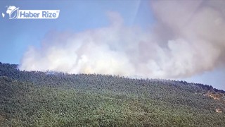 Tokat’ın Reşadiye ilçesinde çıkan orman yangını kontrol altına alındı