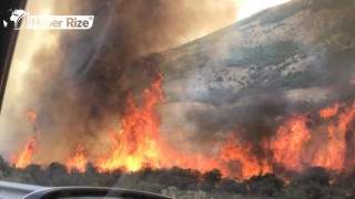 Örtü yangınında 20 hektar alan zarar gördü