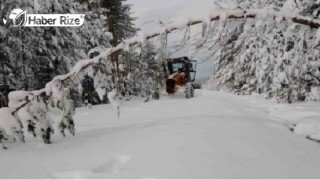 Köylerin yolları kar nedeniyle ulaşıma kapandı