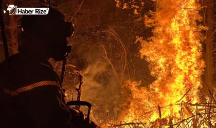 Düzce’de çıkan yangında 6 dönüm ormanlık alan zarar gördü