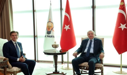 Cumhurbaşkanı Erdoğan, Prof. Dr. Mehmet Öz’ü ağırladı