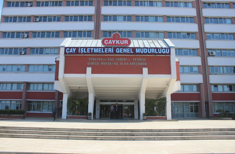 ÇAYKUR'dan Üreticilere Çağrı: "Acele Etmeyin, Yaş Çay Alımları Kesintisiz Sürüyor"
