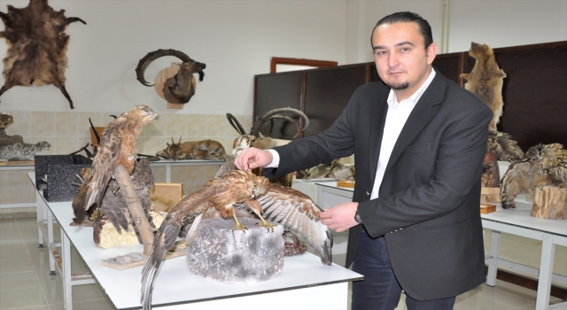 Öğrenciler hayvanlar üzerinde ders görüyor