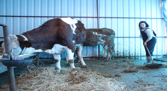 Şehir hayatını bırakıp hayallerindeki yaşamı köyde kurdular