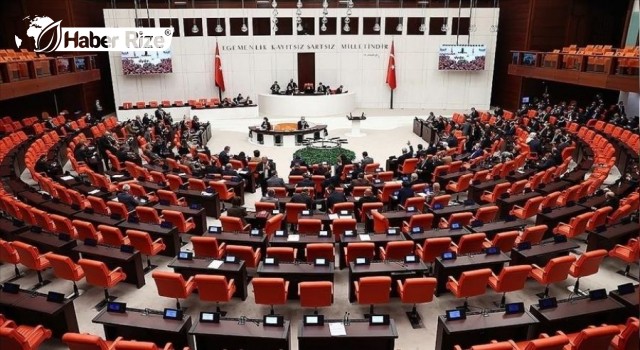 Kritik düzenleme Meclis'ten geçti