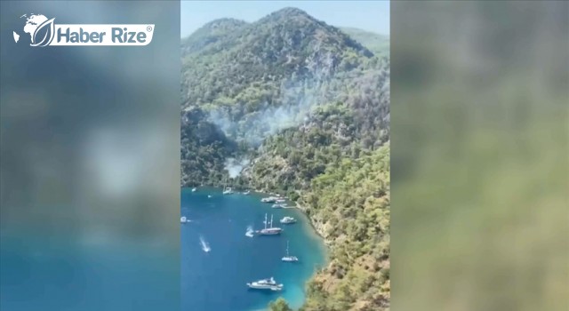Çıkan orman yangını söndürüldü