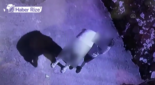 Fındık hırsızları 53 saatlik kamera kaydının incelenmesi sonucu yakalandı