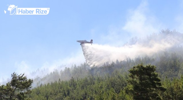 Alanya'da çıkan orman yangını kontrol altına alındı