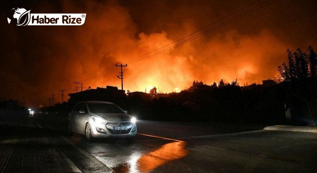 Alanya'da orman yangını çıktı