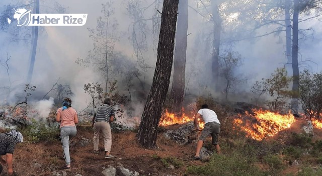 Seydikemer'de orman yangını