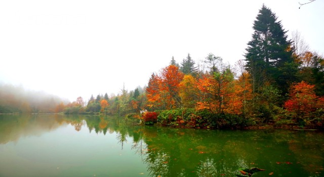 Taşlıyatak Yaylası sonbahar görüntüsü
