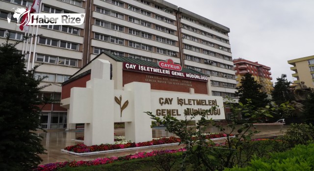 ÇAYKUR 49 fabrikasında 24 saat yaş çay alımı yapacak
