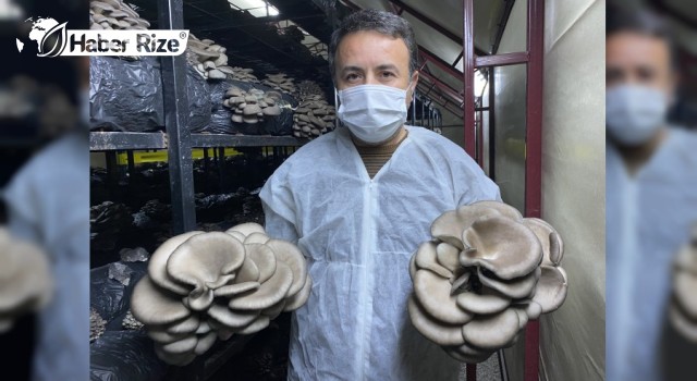 Mantar tesisi ürretimini 2 katına çıkardı