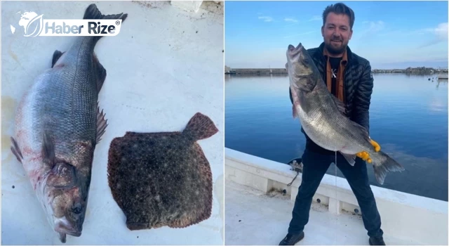Balıkçının ağına takılan 11 kilogramlık levrek şaşırttı