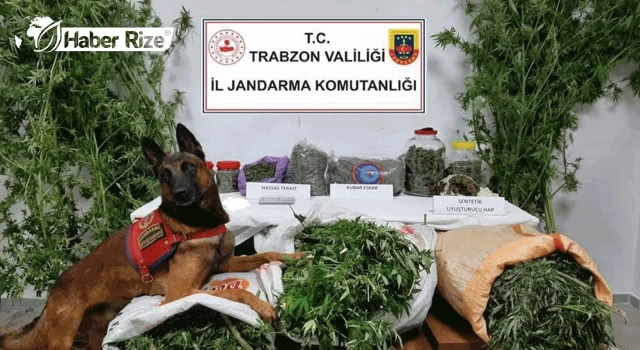 Trabzon'da uyuşturucu operasyonları