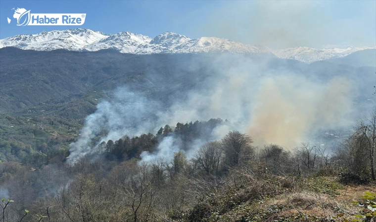 Artvin’de çıkan orman yangını kontrol altına alındı