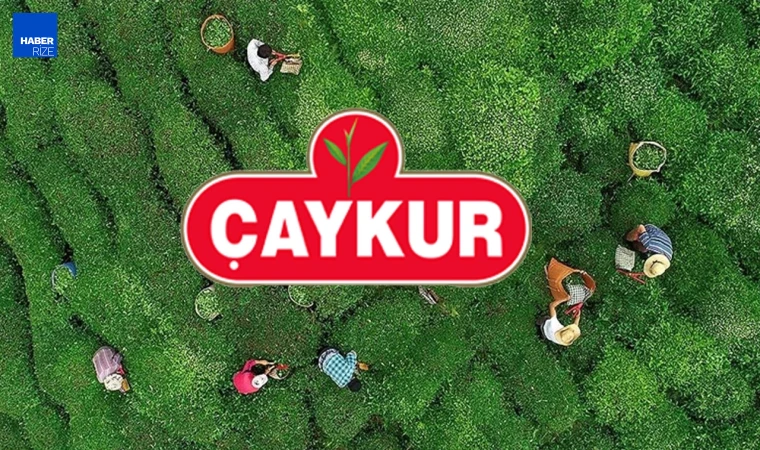 Çaykur Çamlıhemşin çay fabrikası kura sonuçları