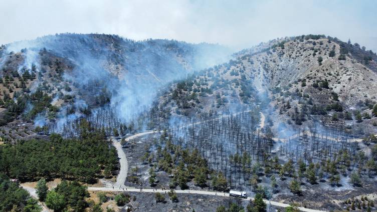 Ankara’da Orman Yangını: Karadan ve Havadan Müdahale Sürüyor