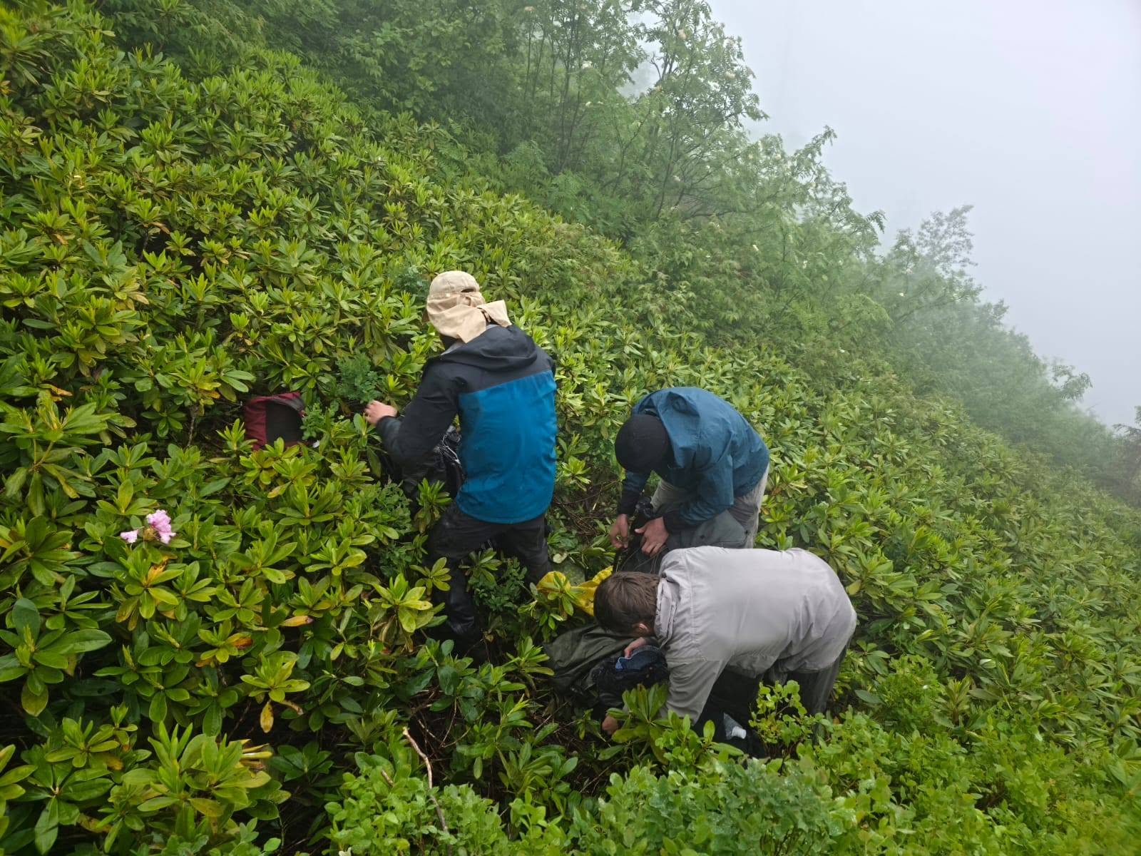 Rize Çamlıhemşin'de Kaybolan 3 Yabancı Uyruklu Turist Kurtarıldı