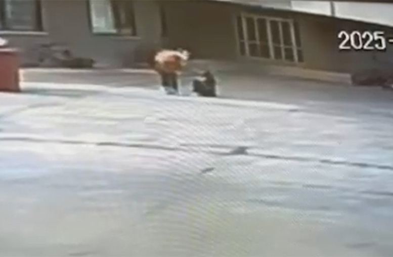 Rize’de Çocuk Oyun Parkında Şiddete Uğradı