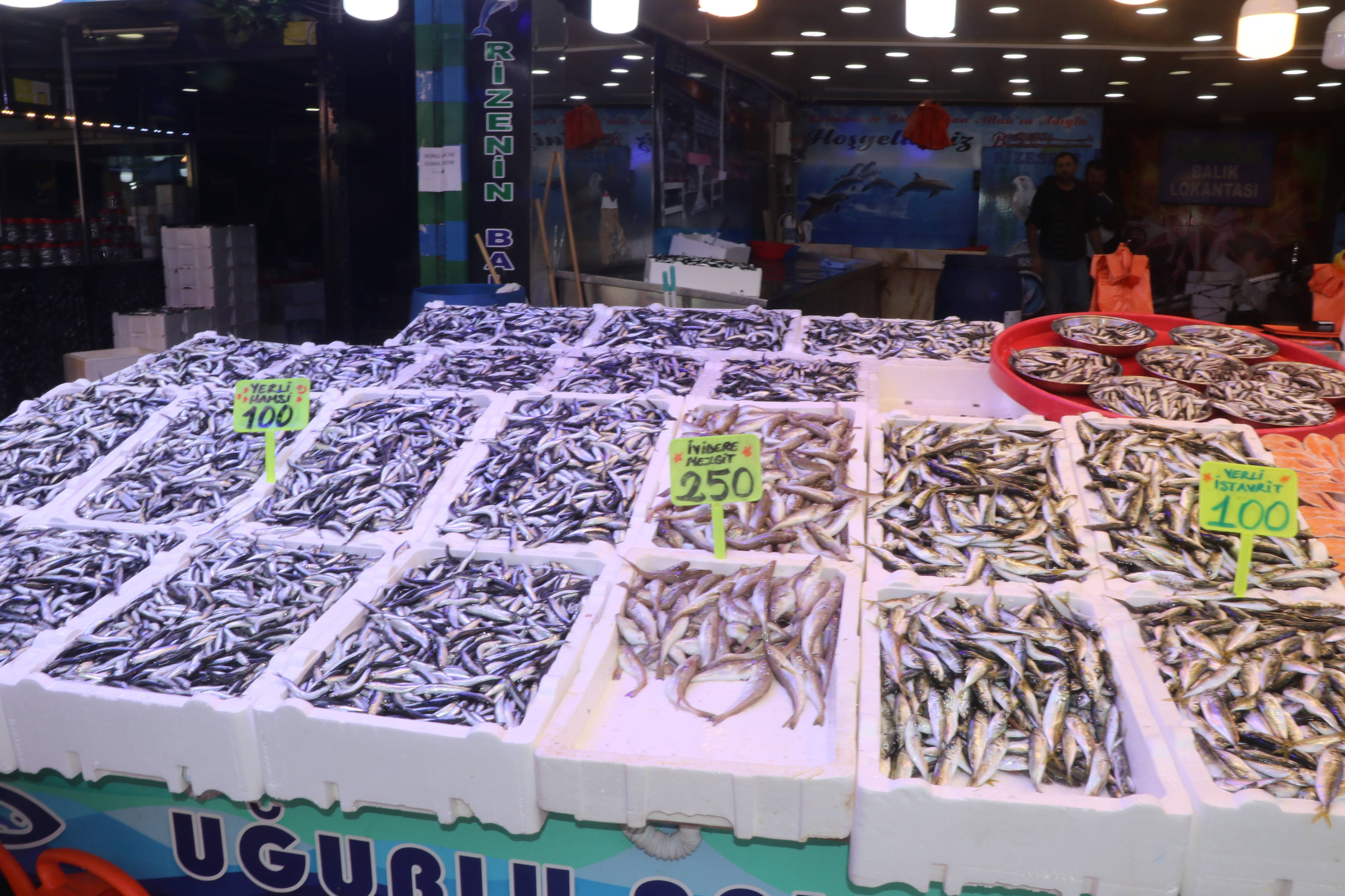 Rize’de Hamsi Hem Bol Hem Ucuz