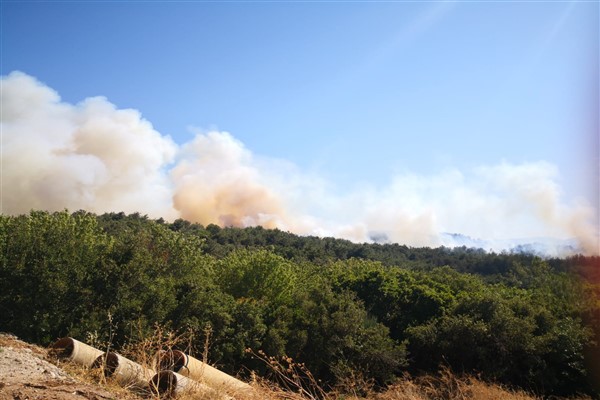 Urla'da çıkan yangına müdahale sürüyor
